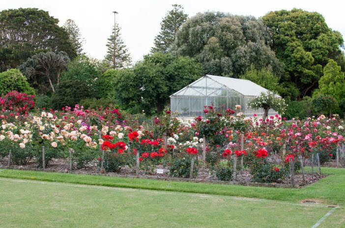 Portland Botanic Gardens, Australia